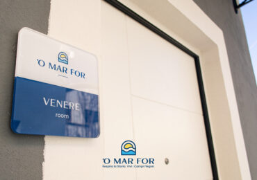 Venere_1