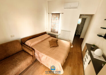 Venere_13