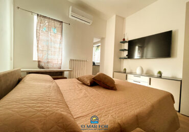 Venere_14