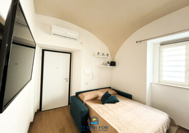 Venere_3